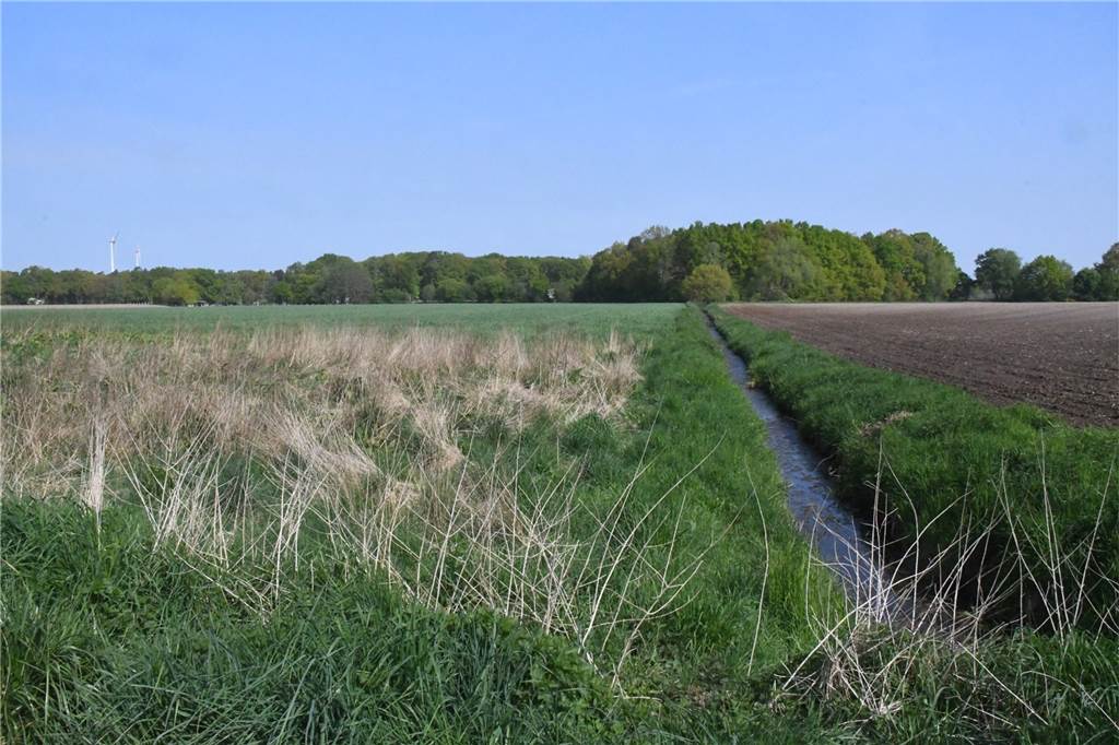 Hintertür beim Aus für Neue Stever: Klimaforum begrüßt Entscheidung Noch fließt ein kleiner Bach durch die Landschaft. Daneben soll laut den Plänen das Bett für die Neue Stever zwischen Stever und Lippe gegraben werden.