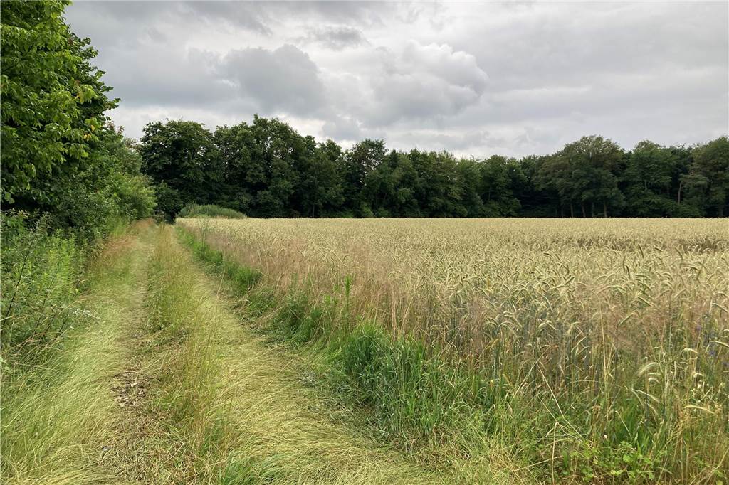 Industriegebiet Schwatter Jans soll Marl und Dorsten 500 Jobs bringen Noch sieht man südlich des Restaurants "Zum Schwatten Jans" Acker und Wald. In zwei Jahren wollen die Städte Marl und Dorsten dort ein Gewerbegebiet schaffen.