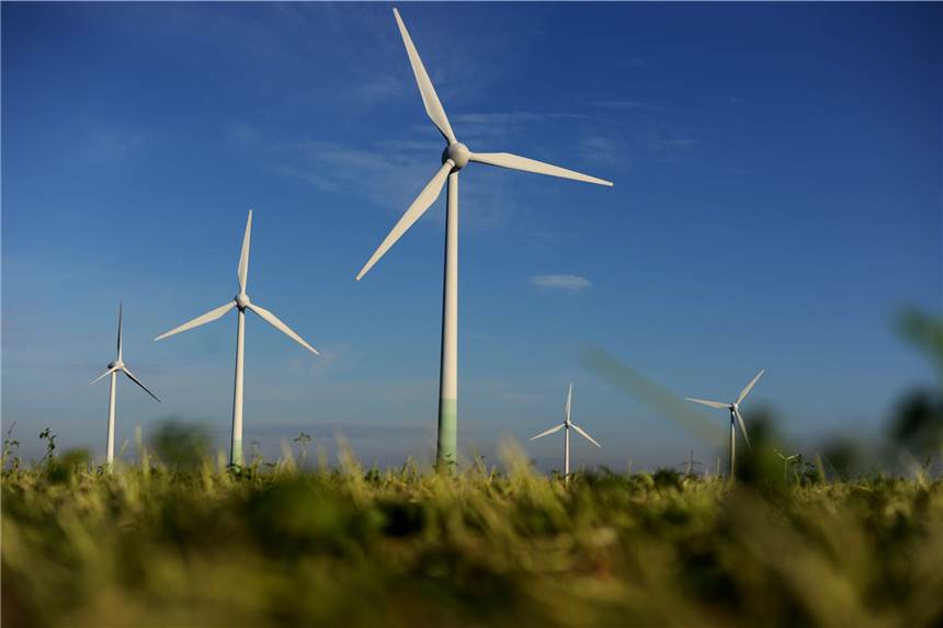 Wanderung auf dem Bürenbruch zu Windrädern, die es noch nicht gibt Noch stehen keine Windräder auf dem Bürenbruch.
