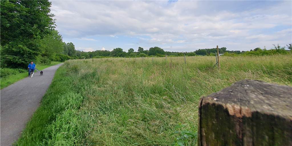 Rodungen für A40-Ausbau: Im Sölder Bruch wächst ein neuer Wald Noch wilde Wiese, in einigen Jahren bestenfalls Wald: Im Sölder Bruch wurden zum Ausgleich für Rodungen im Zuge des A40-Ausbaus tausende Bäume und Sträucher gesetzt.