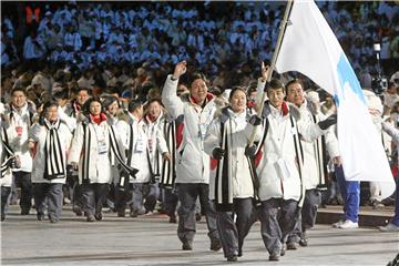 Nord- und Südkorea könnten, wie hier bei den Olympischen Winterspielen 2006 in Turin, mit einer gemeinsamen Flagge einlaufen.