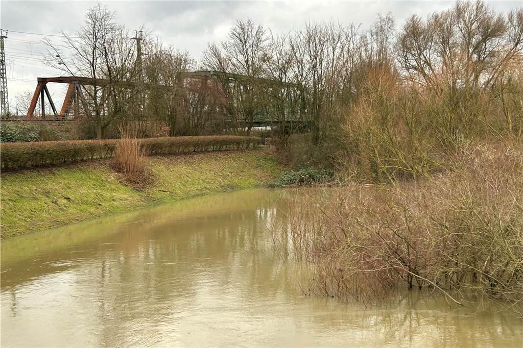 Normalerweise prägen am Damm an der Kamener Straße in Lünen Wiese, Sträucher und Bäume das Bild. Jetzt hat sich dort ein brauner See gebildet. 