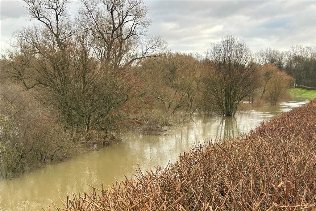 Normalerweise prägen am Damm an der Kamener Straße in Lünen Wiese, Sträucher und Bäume das Bild. Jetzt hat sich dort ein brauner See gebildet. 