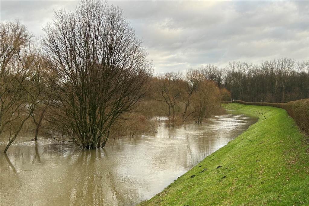 Normalerweise prägen am Damm an der Kamener Straße in Lünen Wiese, Sträucher und Bäume das Bild. Jetzt hat sich dort ein brauner See gebildet. 