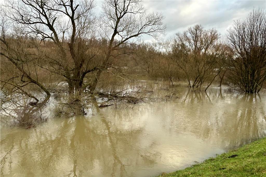 Normalerweise prägen am Damm an der Kamener Straße in Lünen Wiese, Sträucher und Bäume das Bild. Jetzt hat sich dort ein brauner See gebildet. 
