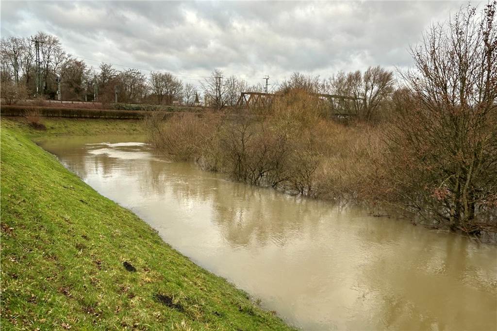 Normalerweise prägen am Damm an der Kamener Straße in Lünen Wiese, Sträucher und Bäume das Bild. Jetzt hat sich dort ein brauner See gebildet. 