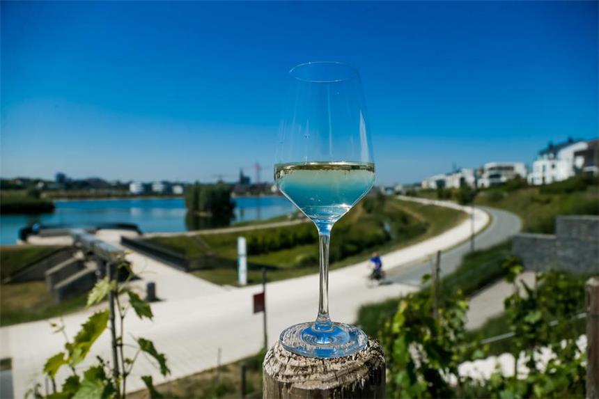 Phoenix-See-Wein kommt unter den Hammer Nun ist das Klima auch in Dortmund günstig für den Weinanbau.