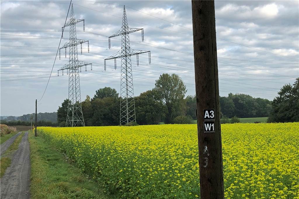 Freizeit-Tipp für den Lockdown: Alle Teile unserer Werner Wanderserie Nur die beiden Überland-Stromtrassen stören das idyllische Bild auf dem Wanderweg W1.