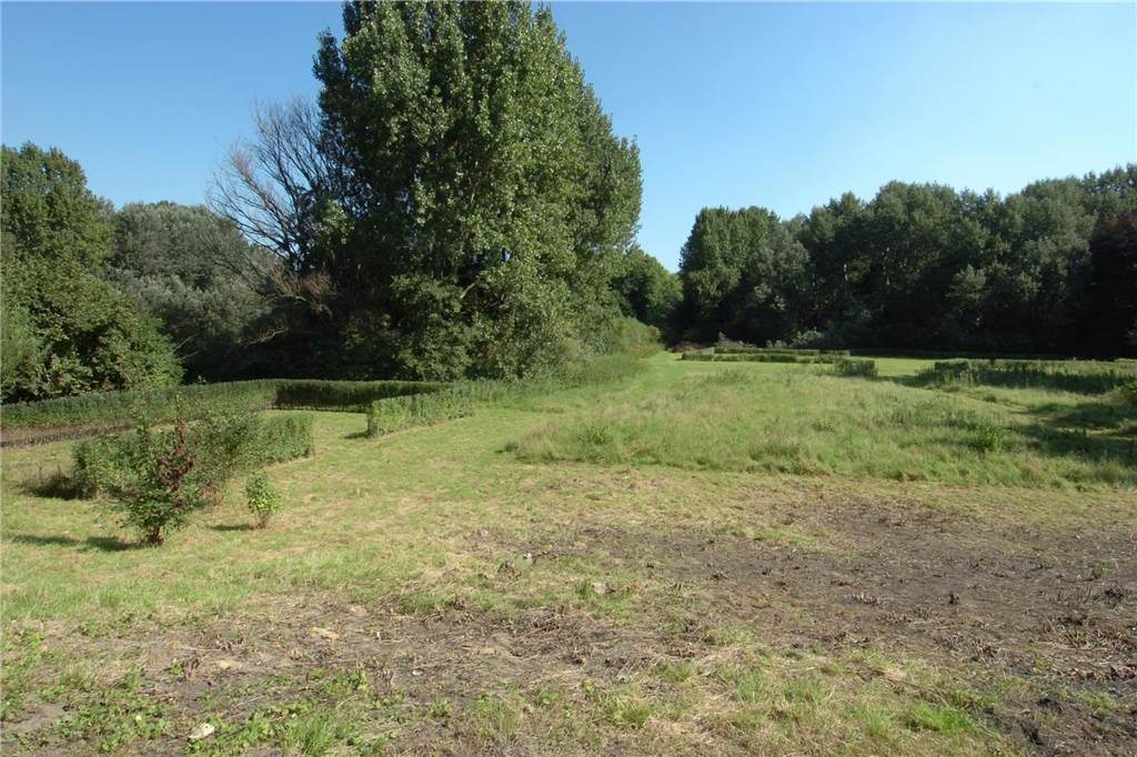 Baumeister der Buddenburg in Lünen: Überfallen, geschlagen und vergessen Nur die Hecke weist darauf hin, dass auf diesem Gelände in Lippholthausen seit dem 13. Jahrhundert die Buddenburg stand. Die Hecke steht auf den einstigen Grundmauern des klassizistischen Baus aus dem Jahr 1846.