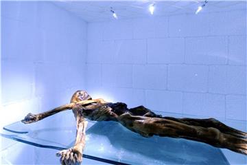 Ötzi in seiner Kühlkammer. Foto: Robert Parigger/APA