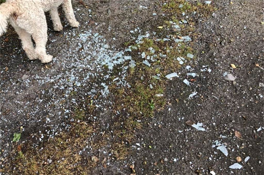 Illegale Müllentsorgung im van Oerschen Busch: „Das ist einfach dreist!“ Offenkundig zerstörten die Unbekannten beim Entladen der Möbel auch noch selbst eine ihrer Autoscheiben. Anders ist die Herkunft der Scherben nicht zu erklären.
