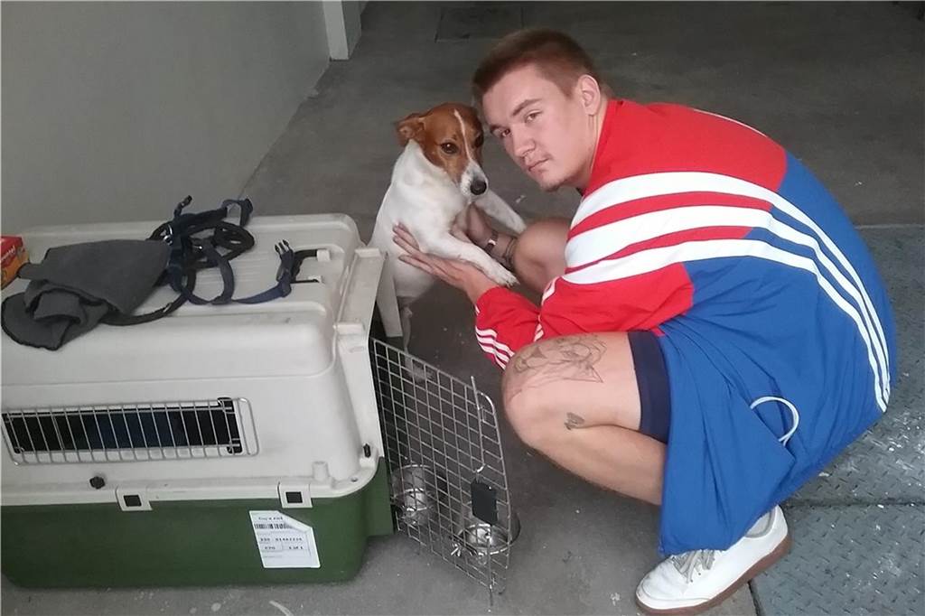 Nach 4 Monaten Trennung: Dortmunder Familie holt Hund aus Peru zurück Ohne Hoffnung auf ein schnelles Wiedersehen verabschiedet sich Amadeus Barrenbrügge von Hund Snoopy.