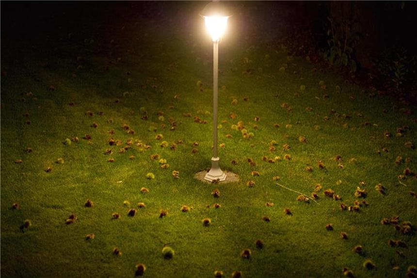 Kabel im Garten tiefer als einen Spatenstoß verlegen Ohne Kabel kein Licht. Die Stromleitung im Garten sollte so tief im Boden liegen, dass sie durch einen Spatenstoß nicht beschädigt werden kann. Foto: Daniel Reinhardt