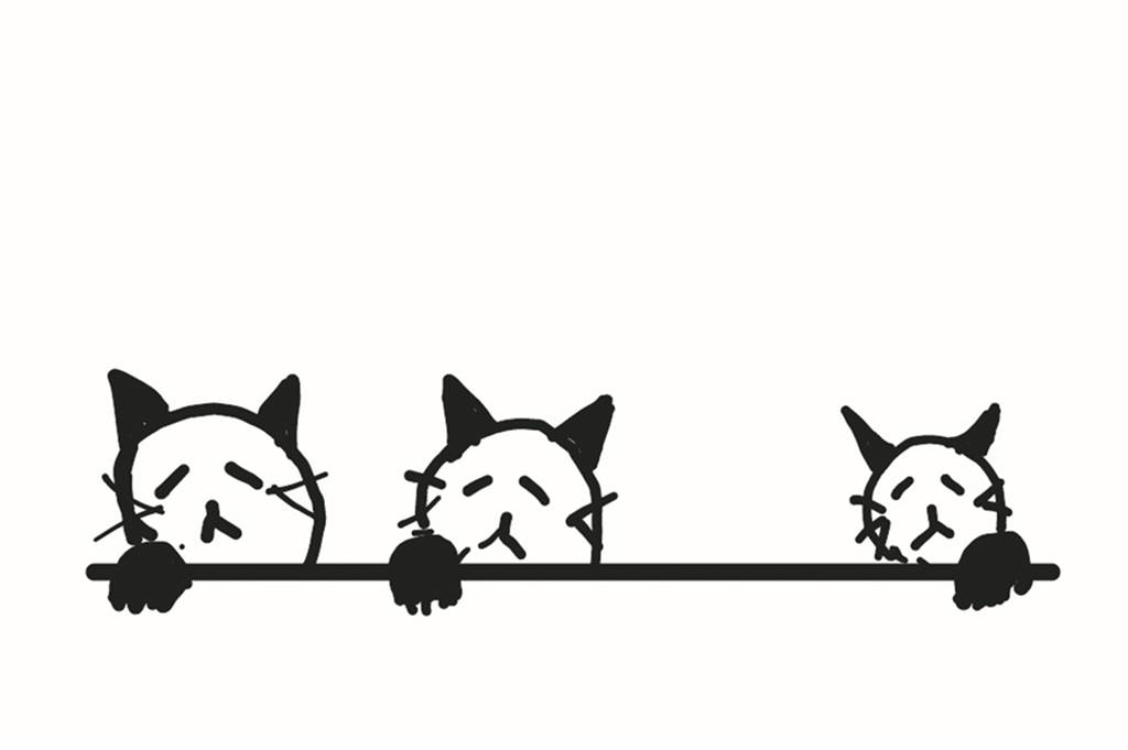 Der verrückte Weg zum Kastrationsgipfel für Katzen - und was dahinter steckt Okay ich sag’s euch doch. Kastrierte Katzen können keine Katzenbabys mehr machen und bekommen. Nicht, dass ihr nun glaubt, dass die Erika keine Katzenbabys mag. Schließlich findet die jeder süß. Aber wenn sie im Elend leben müssen, weil sich keiner um sie kümmert und sie immer mehr werden, ist Schluss mit süß. Und das passiert, wenn nicht kastrierte Hauskater auf frei lebende Katzen treffen. Deshalb will die Erika, dass die Stadt von den Katzenbesitzern verlangt, dass sie ihre freilaufenden Hauskatzen kastrieren lassen.