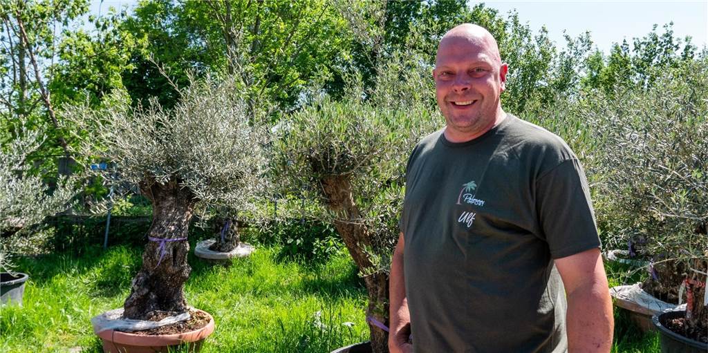 Olivenbäume und riesige Palmen: Gärtnerei in Recklinghausen hat 3000 Pflanzen im Verkauf Ulf Haendel vor Olivenbäumen