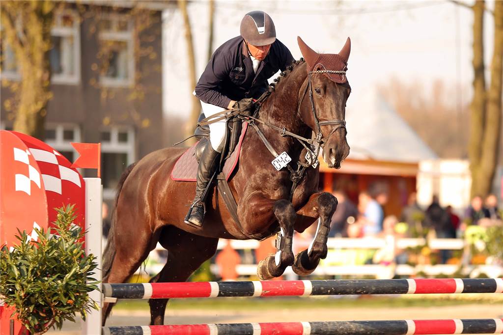 Für Springreiter Oliver Schaal bedeutet Werne Heimat Oliver Schaal will auch bei den Lenklarer Reitertagen in den Sattel gehen. Wohl aber noch nicht beim Großen Preis.