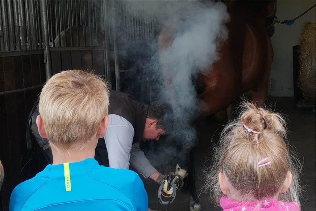 Kirchhellener Gregorschüler zeigten in den Ferien vollen Einsatz Olli war der Star des Hufschmiedbesuchs. Seelenruhig stand der Vierbeiner und ließ sich von Hufbeschlagmeister Jens Allekotte brav mit neuen „Schuhen“ ausstatten.