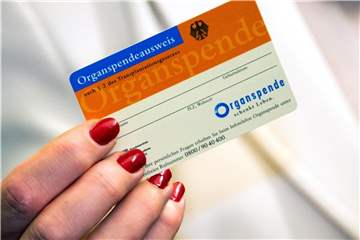 Organe sind in Deutschland Mangelware. Ein Spenderausweis kann deshalb Leben retten, wenn das eigene Leben endet. Der potenzielle Spender kann auf dem Ausweis Angaben zur Spende machen. Foto: Axel Heimken