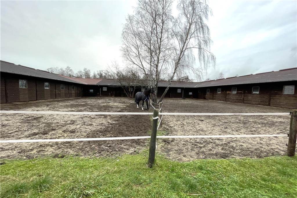 Paddocks, Weiden, Koppeln: Auf dem Reiterhof ist an vielen Stellen reichlich Platz für den Auslauf der Pferde. In diesen Pensionsbetrieb-Ställen werden die Tiere rund-um-versorgt.
