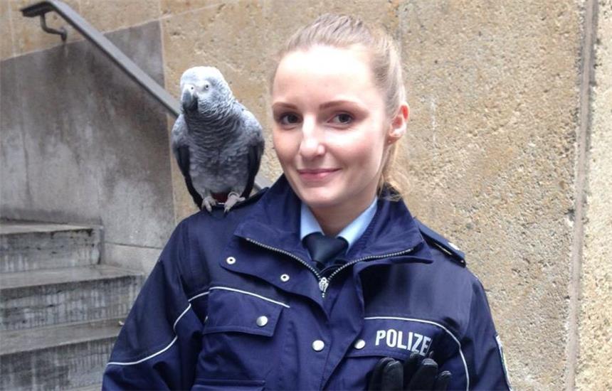 Papagei-Dame "Kati" machte lautstark auf sich aufmerksam. Eine Polizistin rettete den Vogel.