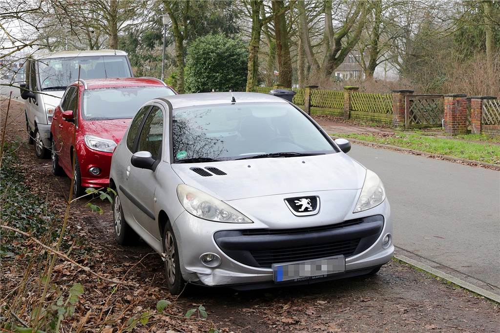 Zu wenige private Stellplätze: Autos blockieren oft Straßen und Fußwege Autos parken auf dem Gehweg