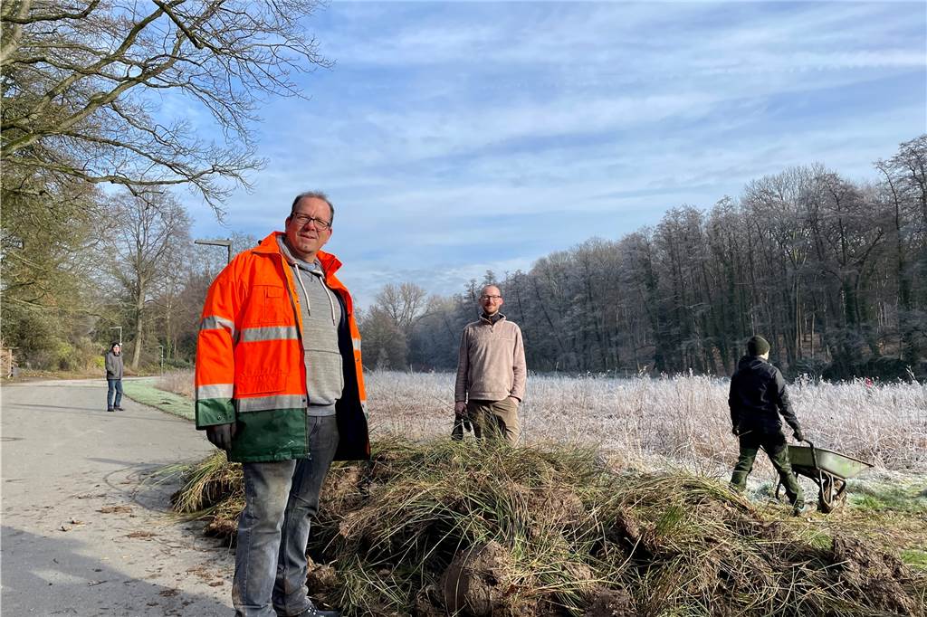 Aktion gegen invasive Pflanze: Mitglieder der TU im Rombergpark aktiv Dr. Patrick Knopf (l.) und Dr. Henning Moldenhauer