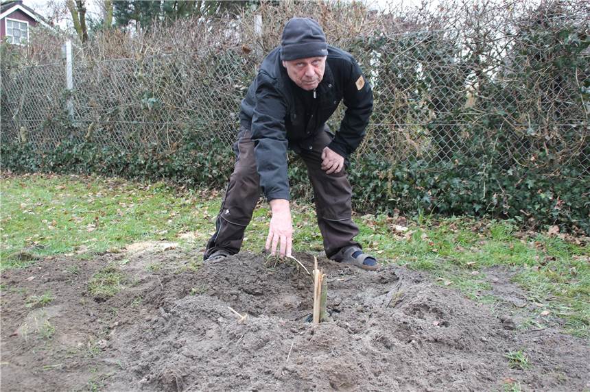 Brambauer Freibad: Unbekannte Täter reißen frisch gepflanzten Baum aus dem Boden Paul Jahnke an der Stelle, an der der frisch gepflanzte Baum stand.
