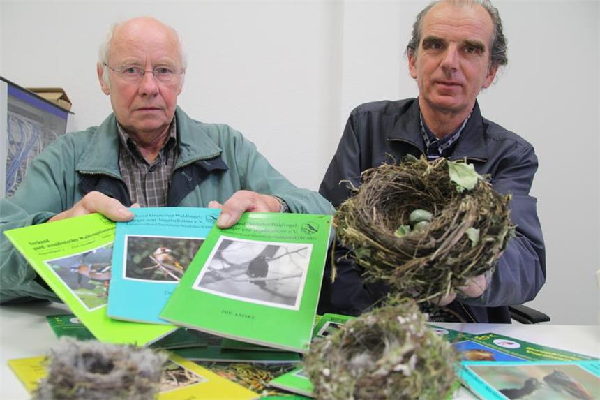 Tote Küken: Heckenschnitt wird zum Politikum Paul Jordan und Christian Kurek haben Vogelnester gefunden.
