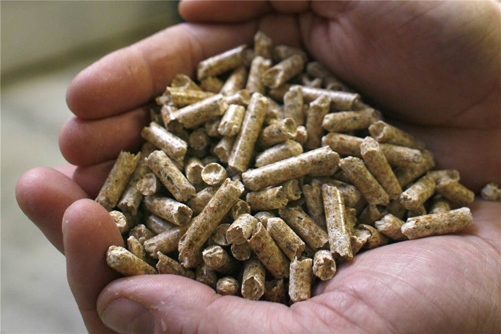 Holzofen statt Gas? Was Sie über das Heizen mit Holz wissen müssen Pellets aus Holz sind neben Grillholzkohle, Grillholzkohlebriketts, stückigem Holz, Reisig, Zapfen und Holzpresslingen als Brennstoff in Haushalten zugelassen.