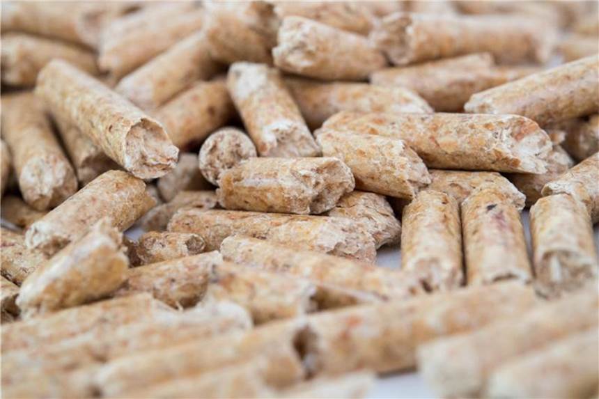 Pellets werden aus getrockneten, nicht behandelten Holzresten gefertigt. Sie werden ohne Zugabe von chemischen Bindemitteln unter hohem Druck gepresst. Foto: Andrea Warnecke