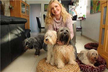 Petra Loyda mit ihren Tibet-Terrier-Damen (v. l.) Choni (12 Jahre), Mani (5, zum zweiten Mal trächtig), Cari (3, zum 1. Mal trächtig) und "Oma" Francy (17 Jahre).