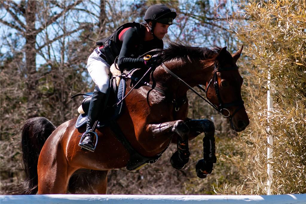 Ein Pferd aus dem Kreis Unna startet bei den Olympischen Spielen in Tokio Pferd Colero und der Schweizer Felix Vogg - das Duo mit Werner Beteiligung reitet bei den Spielen in Tokio.
