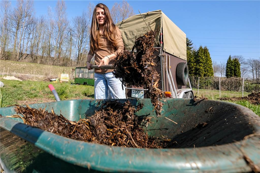 Marakla Sportellis Biogemüse: Hier wird der Kartoffelkäfer noch von Hand abgesammelt Pferdemist vom benachbarten Hof sorgt für biologischen Dünger auf Marakla Sportellis Acker.