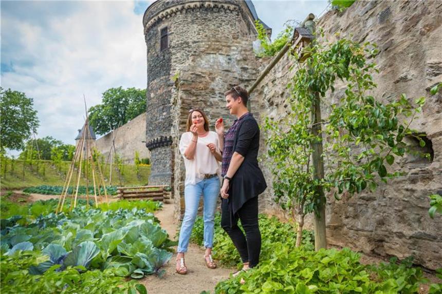 Essbare Stadt Andernach Pflücken erlaubt: Wo früher Betreten verboten war, dürfen sich heute Besucher und Bürger an Obst und Gemüse bedienen. Foto: 90Grad Photography/Hilger & Schneider GbR