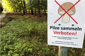 "Pilze sammeln verboten!" Wer diese Schilder in der Üfter Mark missachtet, muss mit Verwarn- oder sogar Bußgeldern rechnen.