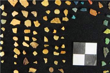 Plastikteilchen aus dem Magen eines Weihnachts-Sturmtauchers (Puffinus nativitatis), der tot auf der Pazifikinsel Salas y Gómez gefunden wurde. Foto: Matías Portflitt Toro/Universidad Católica del Norte