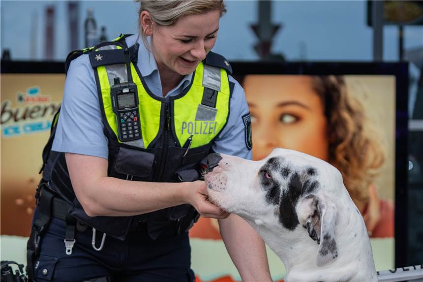 Gefahr durch Hunde, Raser und Drängler: Polizei kontrolliert 10.000 Autos Polizeikommissarin Candice Newgas kontrolliert den Reisenden "Piwo".