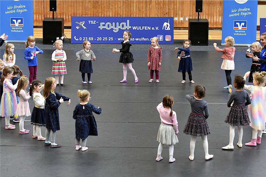 Präsentation des TSZ Royal Wulfen, 26.1.2025