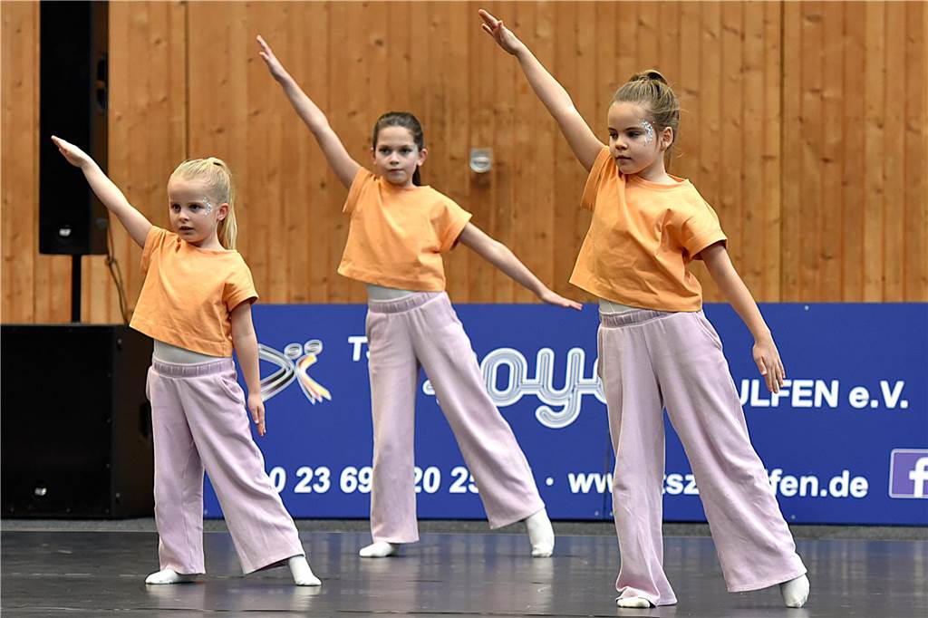 Präsentation des TSZ Royal Wulfen, 26.1.2025