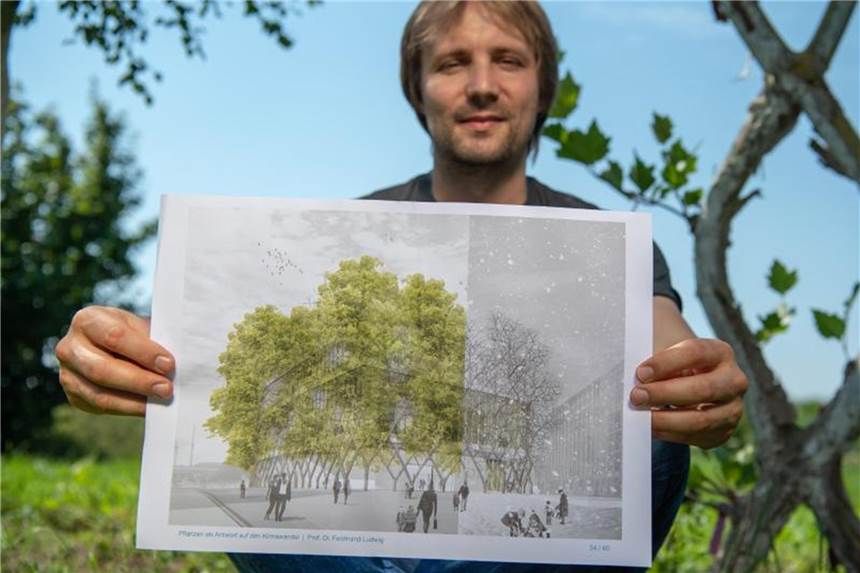 Wie Bäume zu Bauelementen von Häusern werden Professor Ferdinand Ludwig von der TU-Freising will Bäume und Architektur zusammenbringen. Um die Stämme für diesen Zweck stabiler zu machen, hat er die Bäume addiert. Foto: Peter Kneffel