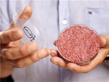 Professor Mark Post von der Universität Maastricht präsentiert künstliches Fleisch aus dem Labor in einer Petrischale. Foto: David Parry