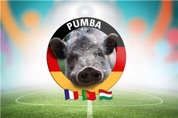 Pumba sagt den Sieger der EM-Begegnung zwischen Deutschland und Portugal voraus.