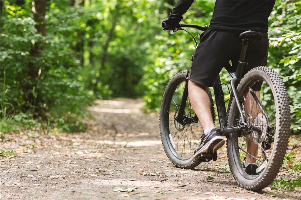 Zwei Ranger für die Wälder im Kreis Wesel werden gesucht Radfahren, Mountainbiken und Reiten ist nur auf den entsprechenden Wegen erwünscht.