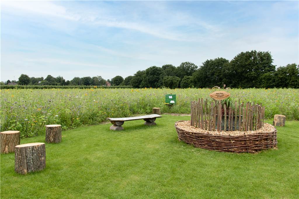 Wildblumenwiese der Buchweizenfreunde ist ein schöner Ort zum Verweilen Radfahrer und Spaziergänger nutzen den angelegten Park zum Entspannen und Genießen, freut sich Buchweizenfreund Ludger Hemming.
