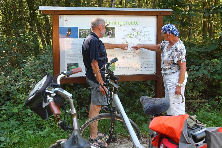 Mehr Urlauber kommen nach Vreden Radtouristen machen einen guten Teil der Gäste in Vreden aus.