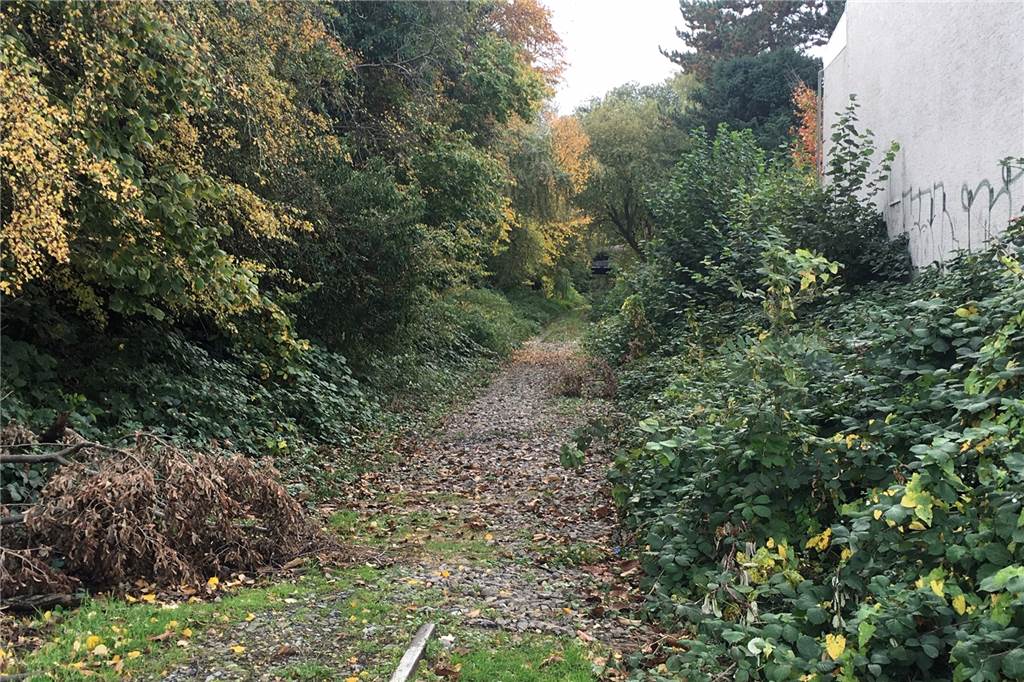 Radweg statt Schienen: Aus der alten Hoeschbahn-Trasse durch die Gartenstadt soll ein Rad- und Fußweg werden. Über die Jahre war die Fläche zugewildert.