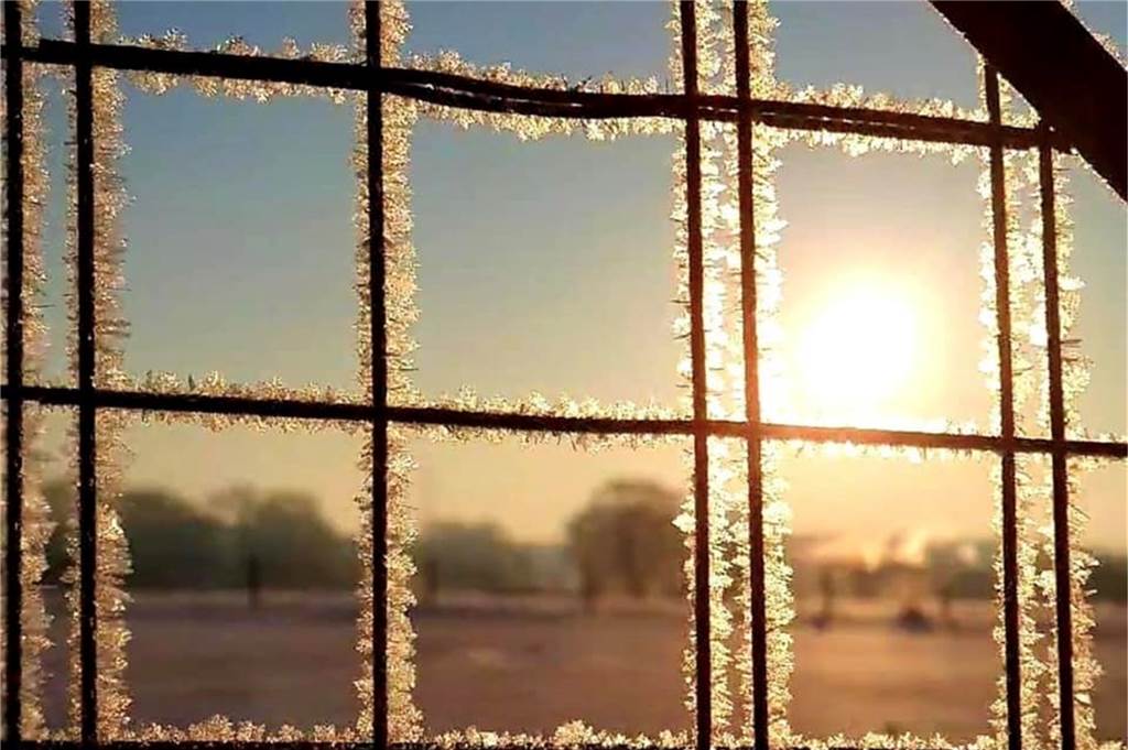 Raureif mit Sonne