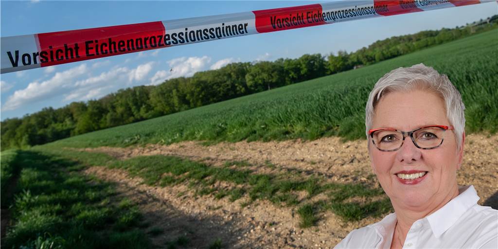 Eichenprozessionsspinner: Besser mal auf Experten hören Petra Berkenbusch