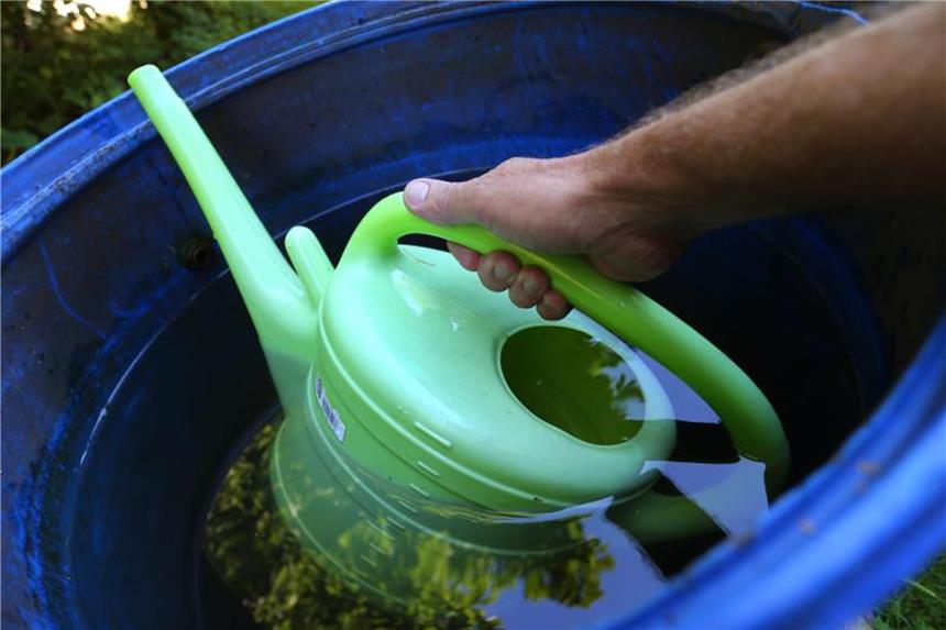 Wasser an der richtigen Stelle sparen Regenwasser im Garten aufzufangen ist eine sinnvolle Sache im Sommer. Foto: Karl-Josef Hildenbrand