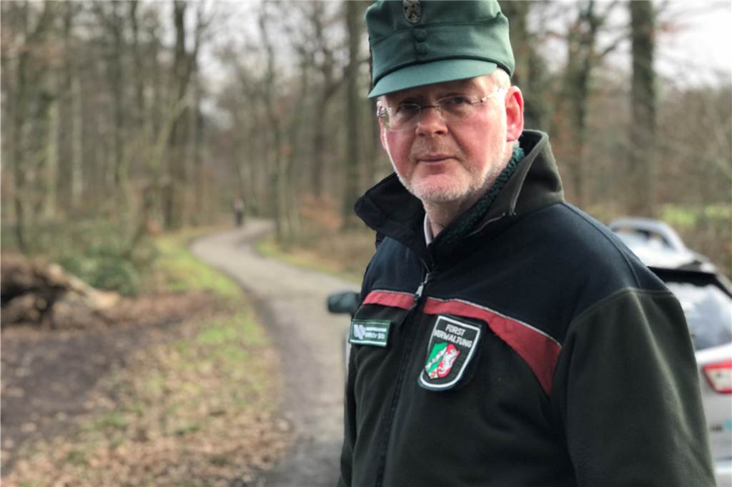 „Der ganze Wald wird sterben!“ 12.000 neue Bäume sollen Grutholz retten Revierförster Matthias Klar im Grutholz: Der Experte warnt seit drei, vier Jahren, dass der Wald vor dem Tod steht.